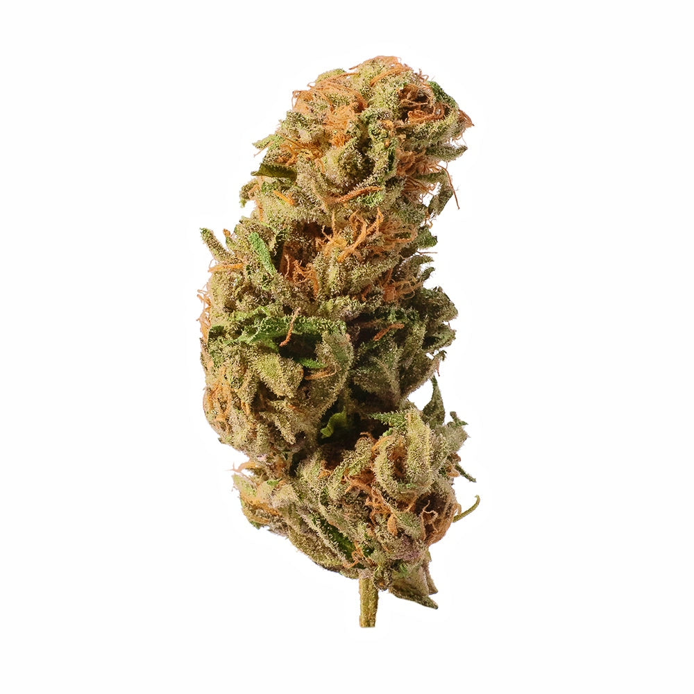 Rainbow Sherbert Raw Smokable Flower